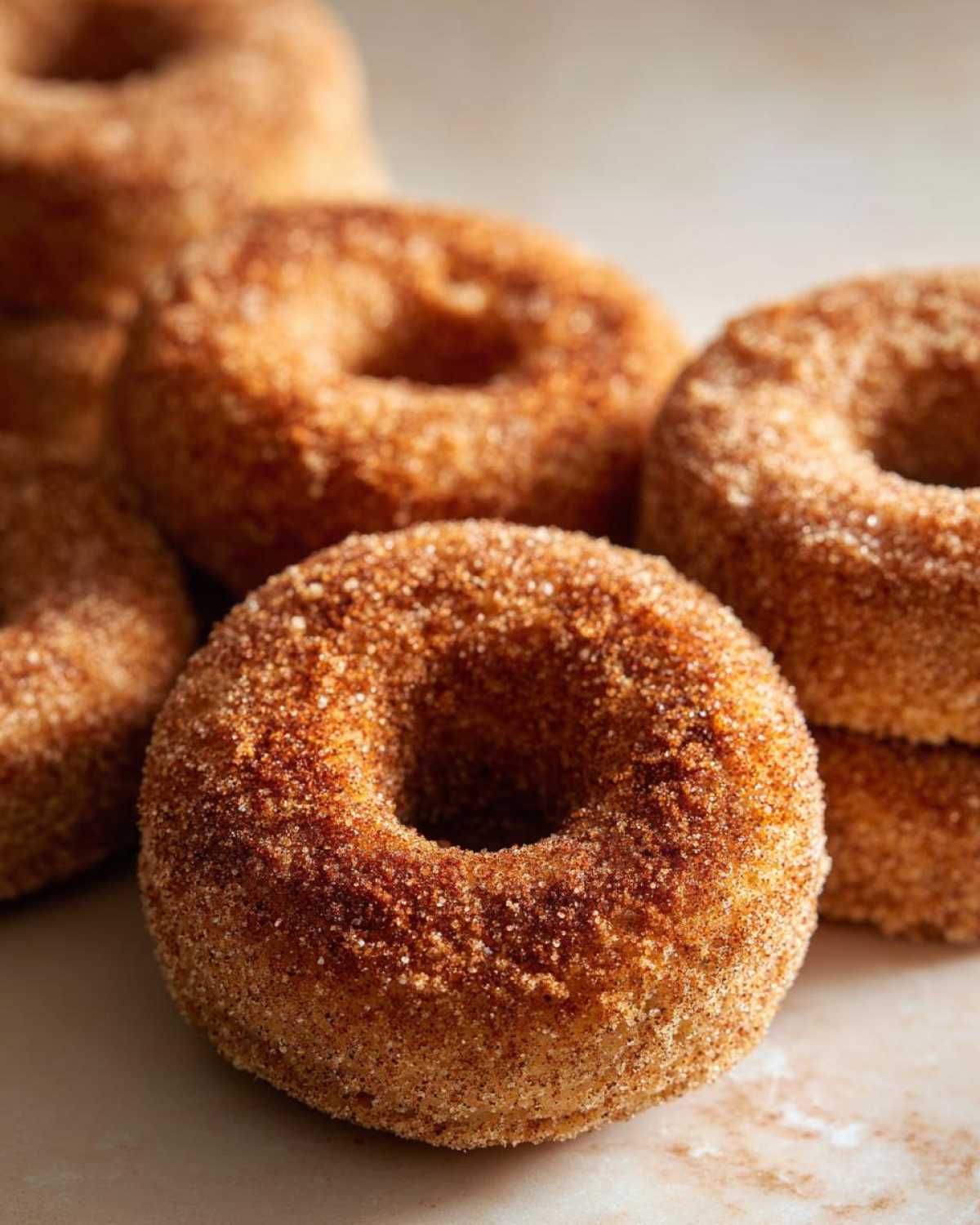 Baked Apple Cider Donuts - detail 1