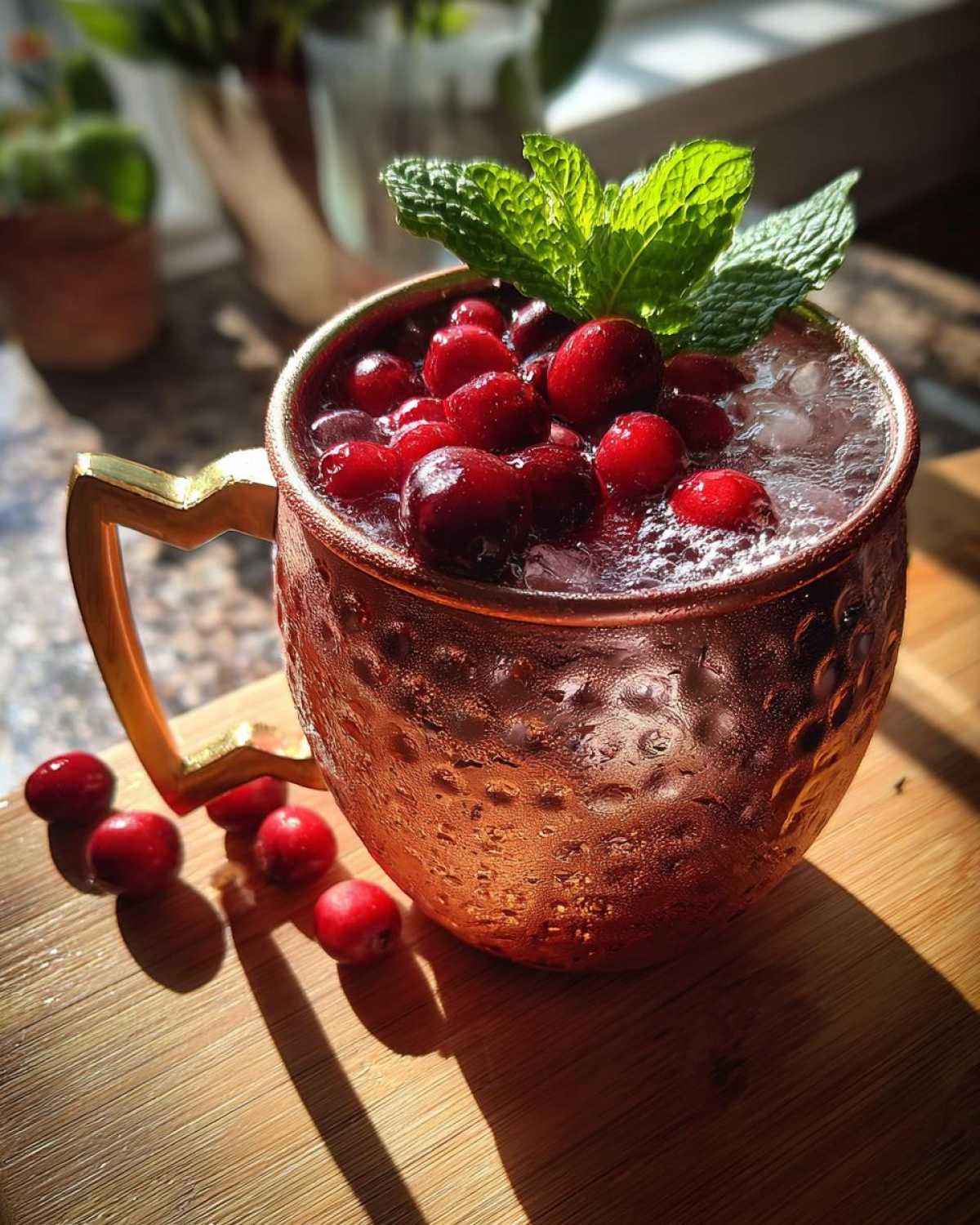 Cranberry Moscow Mule - detail 1