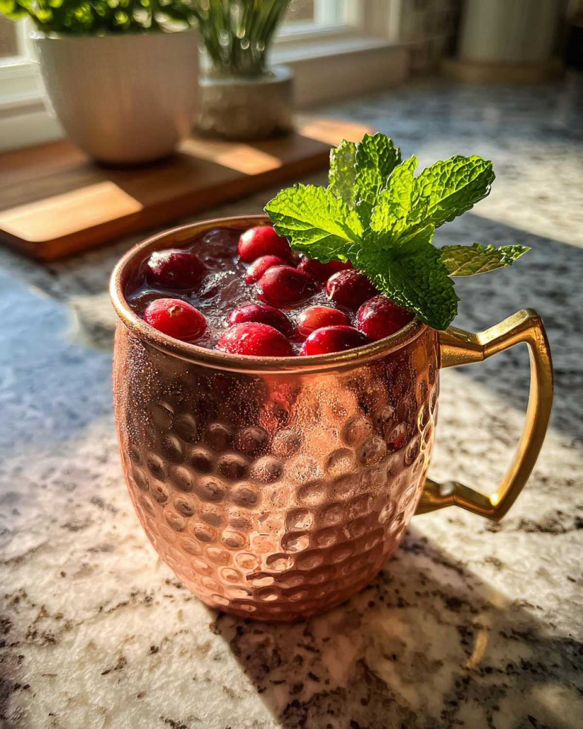 Cranberry Moscow Mule - detail 3