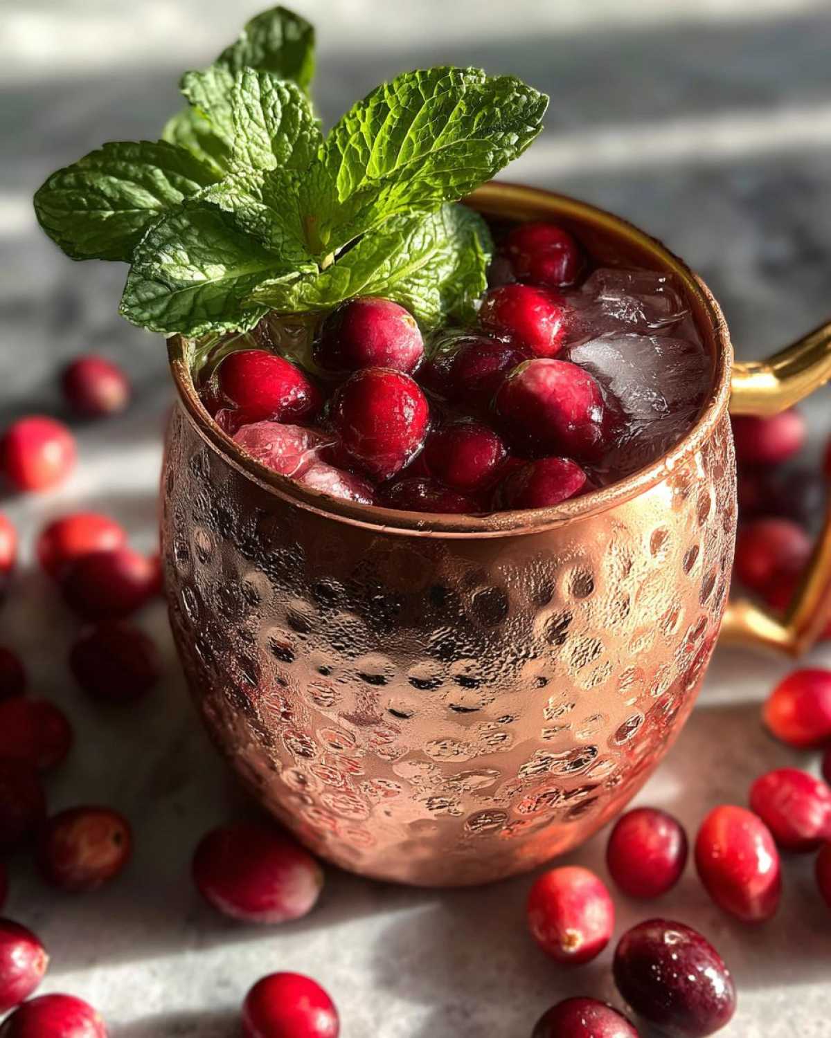 Cranberry Moscow Mule - detail 4