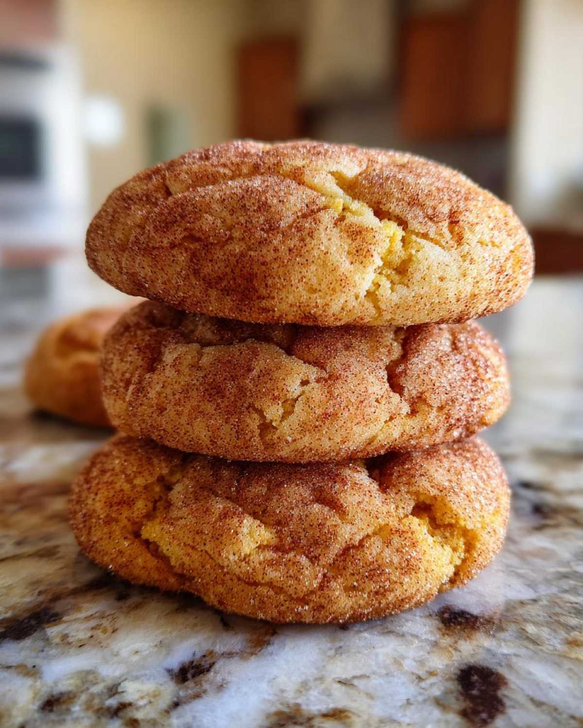 Soft Pumpkin Snickerdoodle Cookies - detail 4