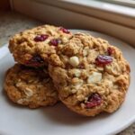 Three chewy cranberry oatmeal cookies stacked slightly on a white plate near a window.