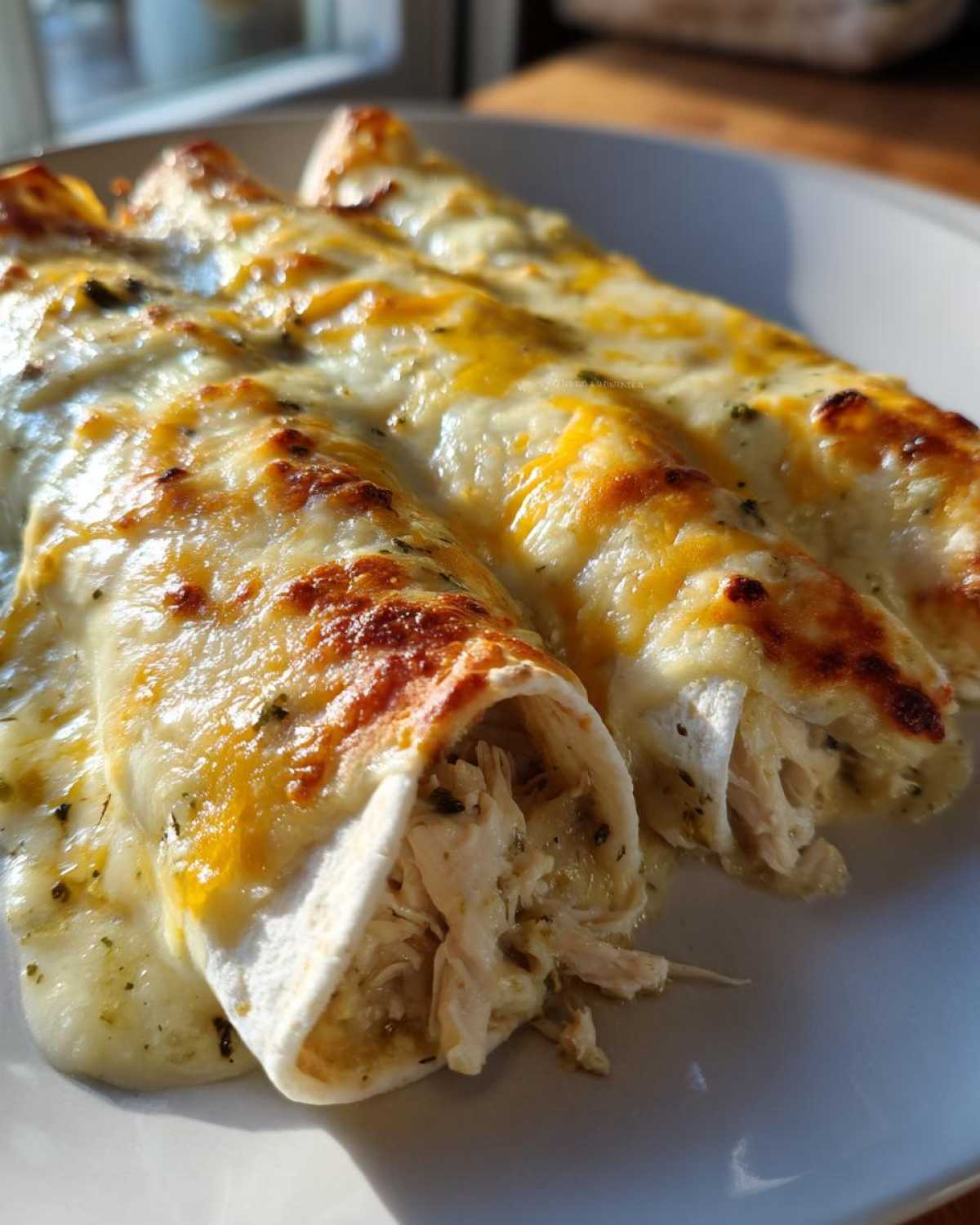 Close-up of three white chicken enchiladas covered in melted white and yellow cheese sauce, showing shredded chicken filling.